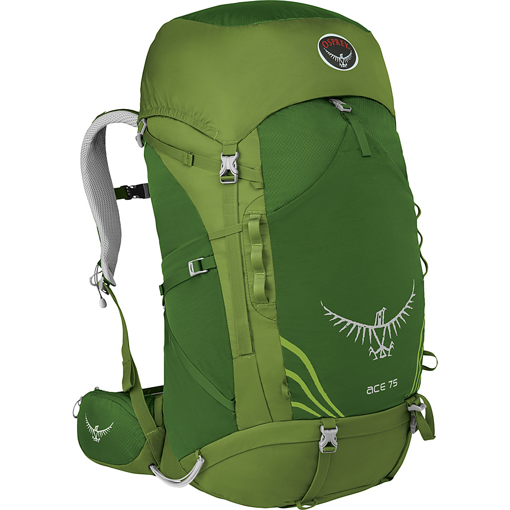 Osprey Ace 75 Kid s Ivy Green Osprey Backpacking Packs